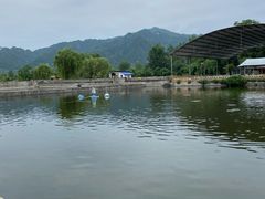 -特种渔场