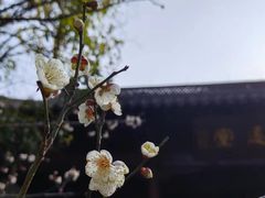 -钱王祠