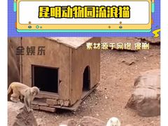 -昆明动物园