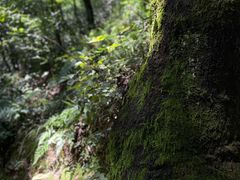 -穹窿山景区