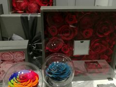 -ROSEONLY诺誓(磐基中心店)