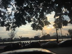 -more than meow吴止猫主题餐厅(承德 中船汇店)