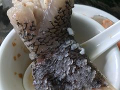 -蚝专家
