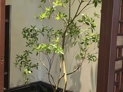 -豫满楼(郑东新区店)