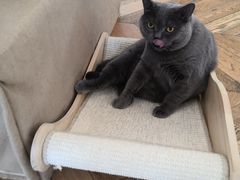 -Me Coffee下午茶艺术空间