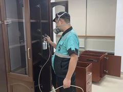 -叶子环保专业除甲醛(广州总部)