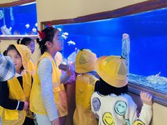 -向日葵艺术中心美术(虹桥南丰城校区)