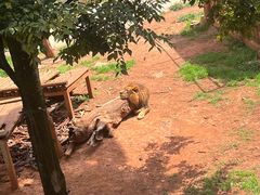-昆明动物园