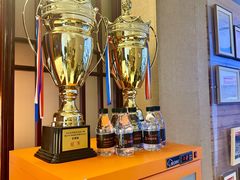 -天猫养车贴膜轻改·蓝电(优匹康桥东路店)