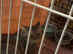 -CLUE演绎实景剧本杀(江南西店)