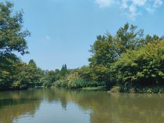 -西溪国家湿地公园