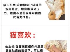 -美联众合动物医院·24h转诊中心