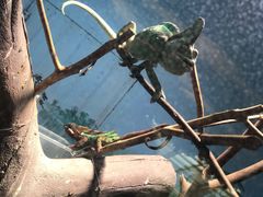 -石家庄市动物园