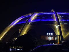 -丁老爷子苏香圆