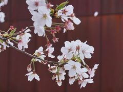 -龙美术馆(西岸馆)
