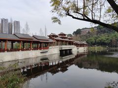 -重庆彩云湖湿地公园