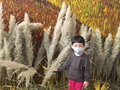 -三亚湾红树林国际会展中心(演出售票)