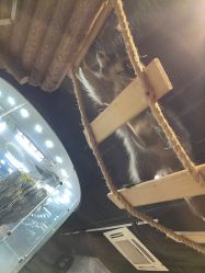 -Zoolung Zoolung动物主题公园(海信广场店)