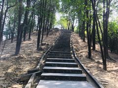 -火炉山森林公园