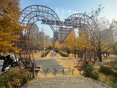 -长白岛森林公园