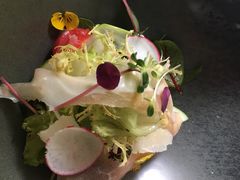 -蝶舍·MAISON PAPILLON