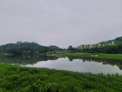 -全汁全味驴庄(凤岗店)
