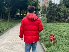 -神仙树公园
