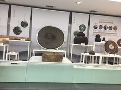 -中国茶叶博物馆(双峰馆区)
