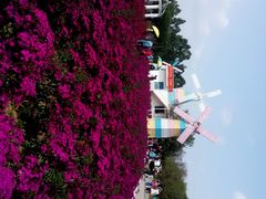 -松山湖梦幻百花洲