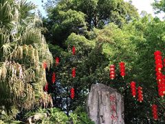 -广州市流溪河国家森林公园