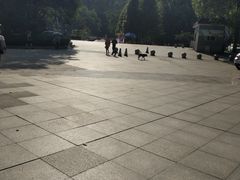 -南山植物园