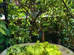 -缘生态云南菜·野生菌庭院餐厅(华侨城店)