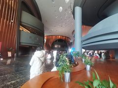 -郑州大剧院