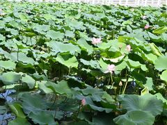 -东钱湖旅游度假区