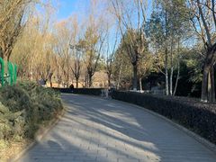 -云岗森林公园