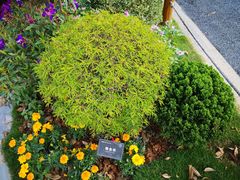 -东莞植物园