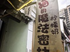 -猫的魔法密林(衣裳街店)