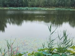 -东郊湿地公园