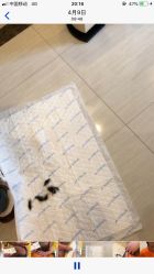 -龙文宝贝上门婴儿理发满月剃胎毛(黄浦店)