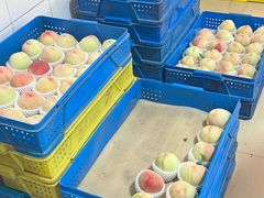 -老袁家蜜桃农场·阳山水蜜桃