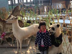 iphone_upload_pic-北京鹿世界主题园