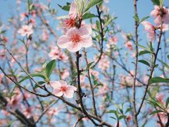 -盘龙城国家考古遗址公园