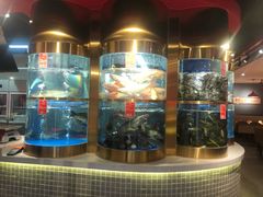 -蜀滋香鲜鱼美蛙火锅(339店)