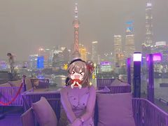 -罗斯福色戒酒吧(外滩店)