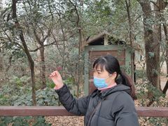 -紫金山山顶公园