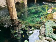 -长鹿旅游休博园