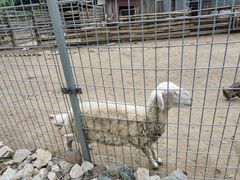 -北京山里寒舍度假酒店