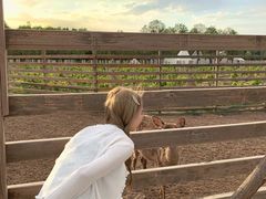 -安德鲁户外烧烤帐篷营地(马泉营店)