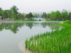 -西海子公园