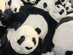 -宜家家居(四元桥商场店)